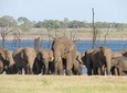 Kaudulla National Park Safari from Habarana