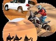 Dubai afternoon Desert Safari (Private & custom tours)