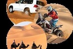 Dubai afternoon Desert Safari (Private & custom tours)