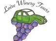 English speaking vineyards tours in the Loire Valley (Chinon, Saumur, Bourgueil)