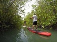 Mangroves SUP Tour Phuket
