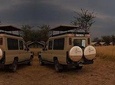 3-Day Two Nights Full Game Drive Serengeti Safari