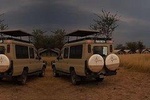3-Day Two Nights Full Game Drive Serengeti Safari