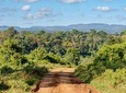 Aberdare National Park - Two Day Tour
