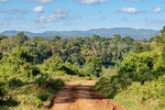 Aberdare National Park - Two Day Tour