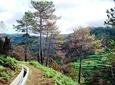 Levada Prazeres - Ponta do Pargo