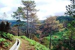 Levada Prazeres - Ponta do Pargo