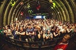 Green Day and Rock for People Festival