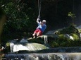 Appleton Estate Rum, YS Falls, Black River Safari / Floyd's Pelican Bar Tour 