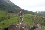 Tea Plantation Walk with Sunset View