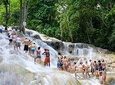 Dunn's River Falls & Jungle River Tubing Adventure Tour from Montego Bay
