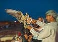 Evening Desert Safari with BBQ Dinner 