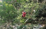 Falls Flyer Zipline and Dunn's River Falls Adventure Tour from Kingston