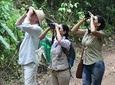 Bird Watching Tours with Sandra Plúa - Manabi, Ecuador