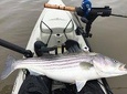 Guided Kayak Fishing Tour