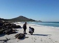 Hike Cape of Good Hope & Cape Point Private Customizable Full Day Tour