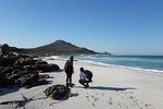 Hike Cape of Good Hope & Cape Point Private Customizable Full Day Tour