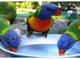 Rockland Brid Sanctuary Private Tour