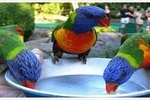 Rockland Brid Sanctuary Private Tour