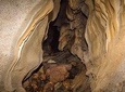Explore Pannila Cave from Colombo