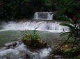 YS Falls and Floyds Pelican Bar