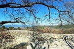 Provence wine tour of vineyards & the best foods & wine of Provence private tour