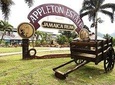 Appleton Estate Rum Tour and Tasting from Runaway Bay