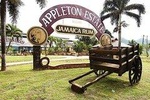 Appleton Estate Rum Tour and Tasting from Runaway Bay