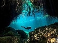 Discover Scuba Diving in Casa cenote from Riviera Maya