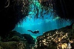 Discover Scuba Diving in Casa cenote from Riviera Maya