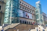 Visit of the Reina Sofia Museum: tickets and private historian guide 