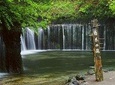 Relax and refresh in Karuizawa Forest! Shinanoji down trekking around two people