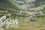 2-Day Spectacular Sapa Trekking and Bus Tour (overnight at 5 star hotel)