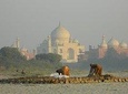 Non Shopping Agra Day Tour from Delhi