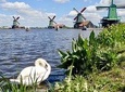Private countryside tour: the highlights of Holland with guide and car