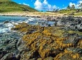 Rapanui Origins: Full Day Private Tour