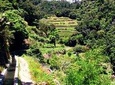 Levada dos Maroços