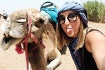 Half day Quad and Dromedary