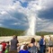Private Yellowstone Tour: Iconic Sites, Wildlife, Easy Hiking, & Lunch Included