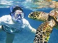 Kauai's Ultimate South Island Zodiac Boat Snorkel Adventure