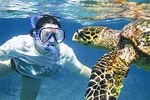 Kauai's Ultimate South Island Zodiac Boat Snorkel Adventure