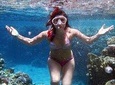 From Sharm-El-Sheikh: Ras Mohamed National Park Trip Snorkelling Trip