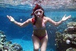From Sharm-El-Sheikh: Ras Mohamed National Park Trip Snorkelling Trip