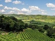 Amarone-Valpolicella wine tour - visit Verona. Half day. From Venice
