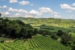 Amarone-Valpolicella wine tour - visit Verona. Half day. From Venice