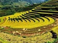 Sapa By Bus 2 Days 1 Night Overnight In Homestay Tour From Hanoi