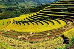 Sapa By Bus 2 Days 1 Night Overnight In Homestay Tour From Hanoi