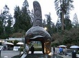 Private-VIP- Vancouver City Tour, SUV