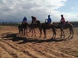 Day Trip From Marrakech To Atlas Mountains Waterfalls And Berber Villages