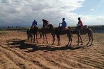 Day Trip From Marrakech To Atlas Mountains Waterfalls And Berber Villages